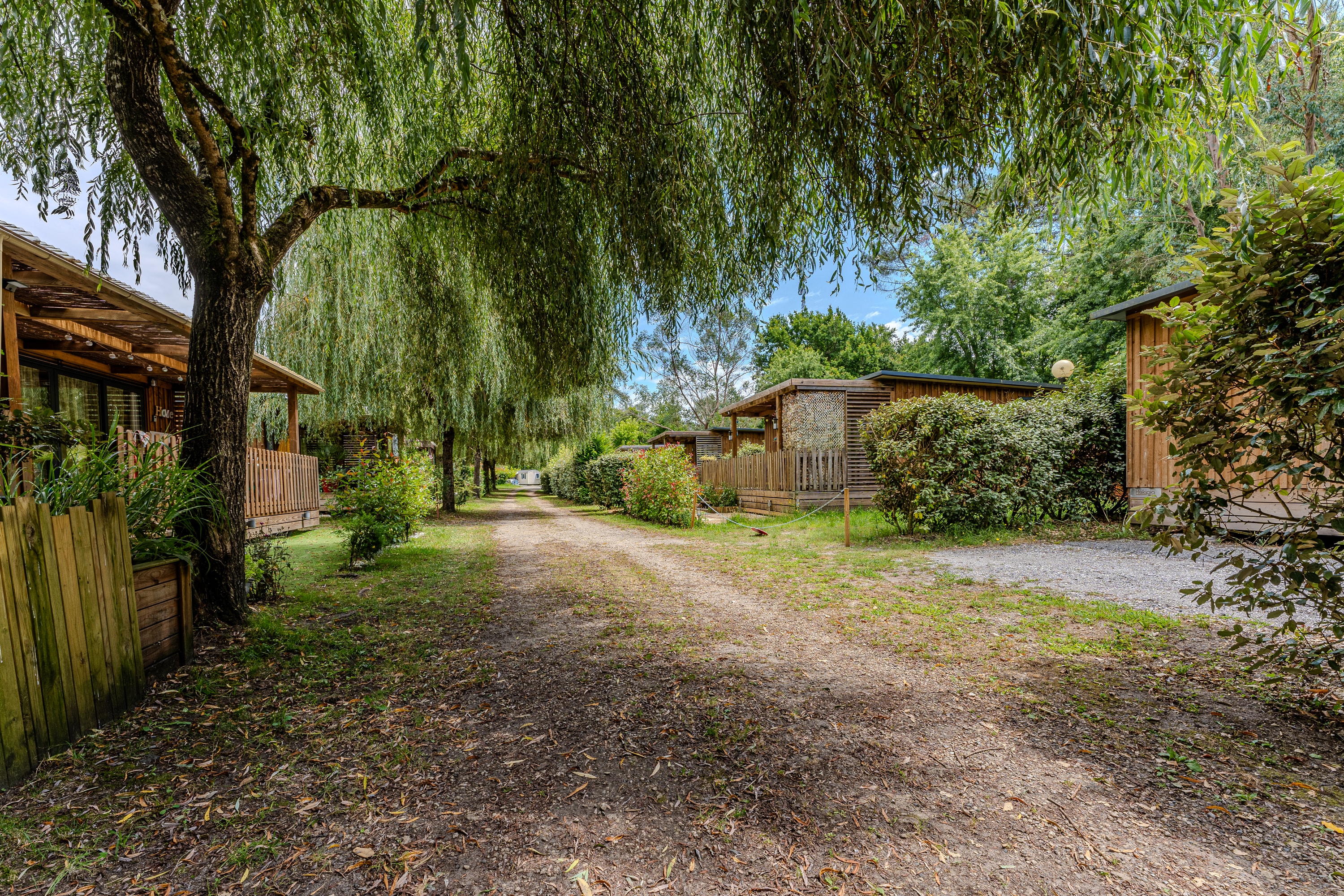 Allée ombragée entre les chalets du camping